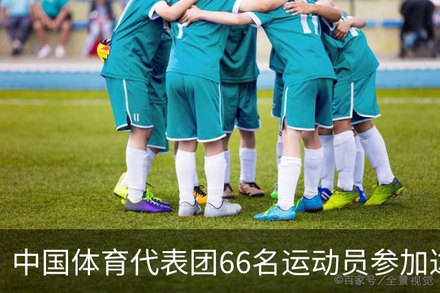中国体育代表团66名运动员参加达喀尔青奥会